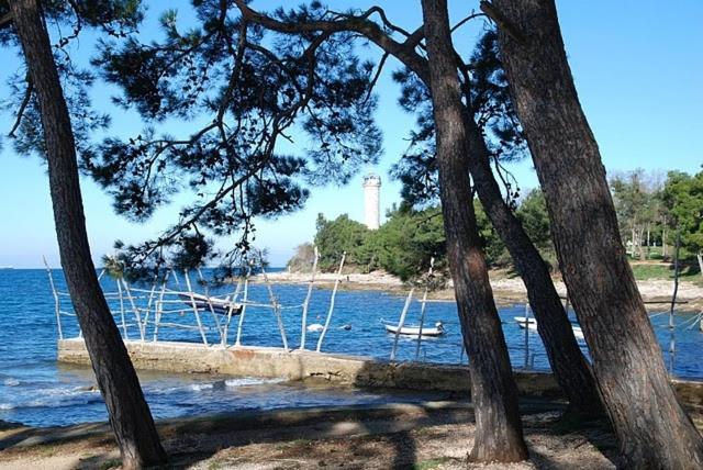 Bungalow Leo Savudrija Exteriör bild